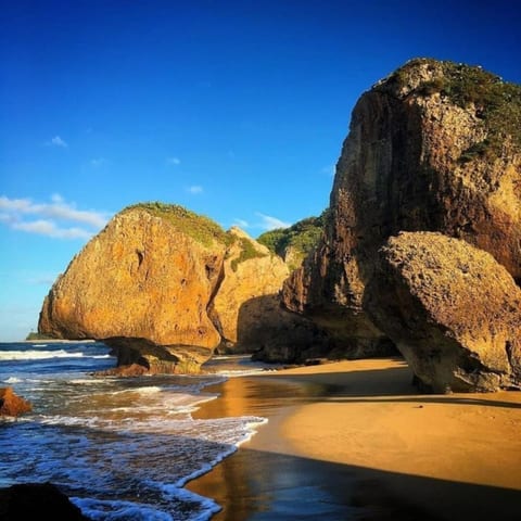 Relax | Beach | Airport & Golf | Ramey Base