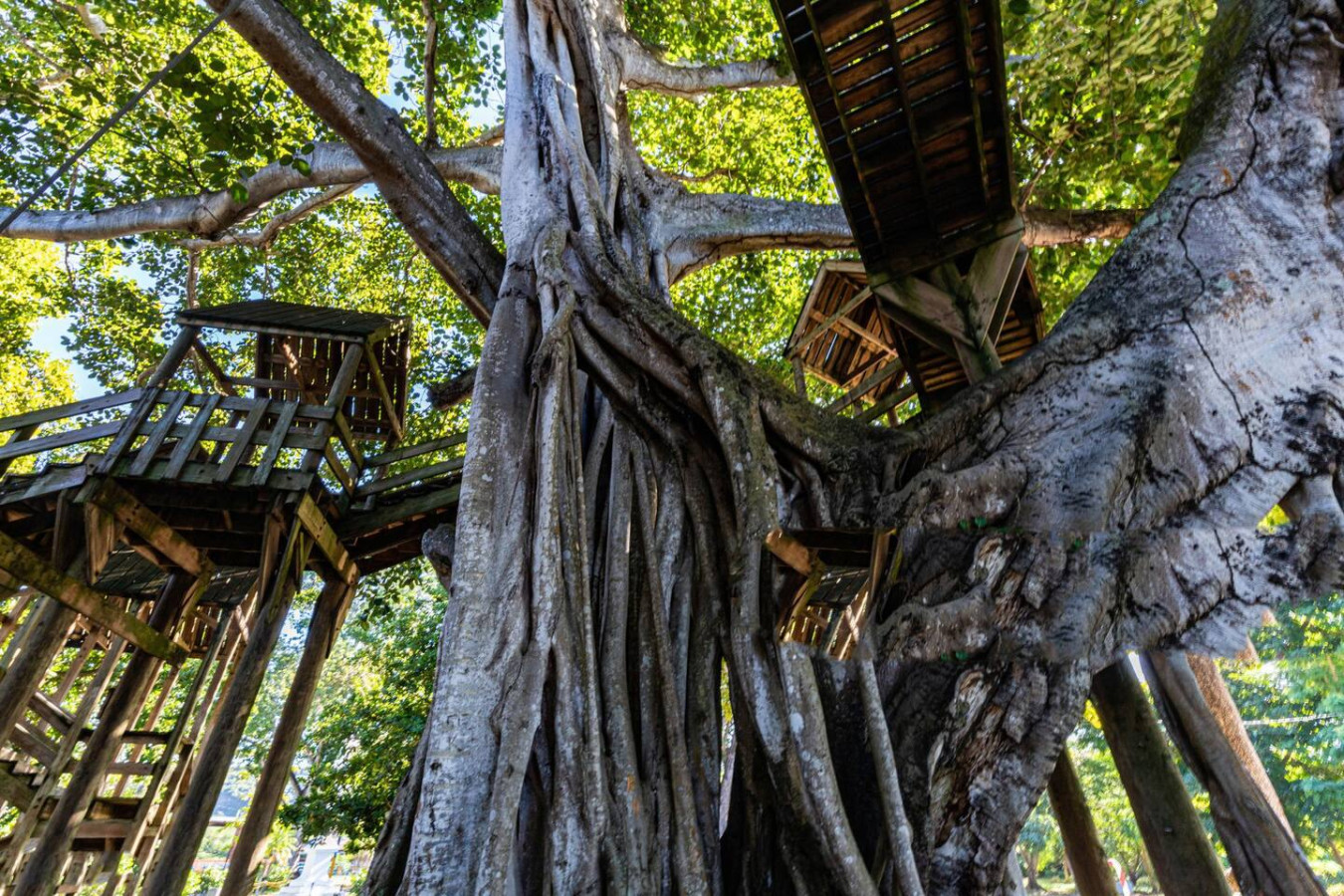 King Bed | Beach, Airport & Golf | Ramey Base Stay - Aguadilla