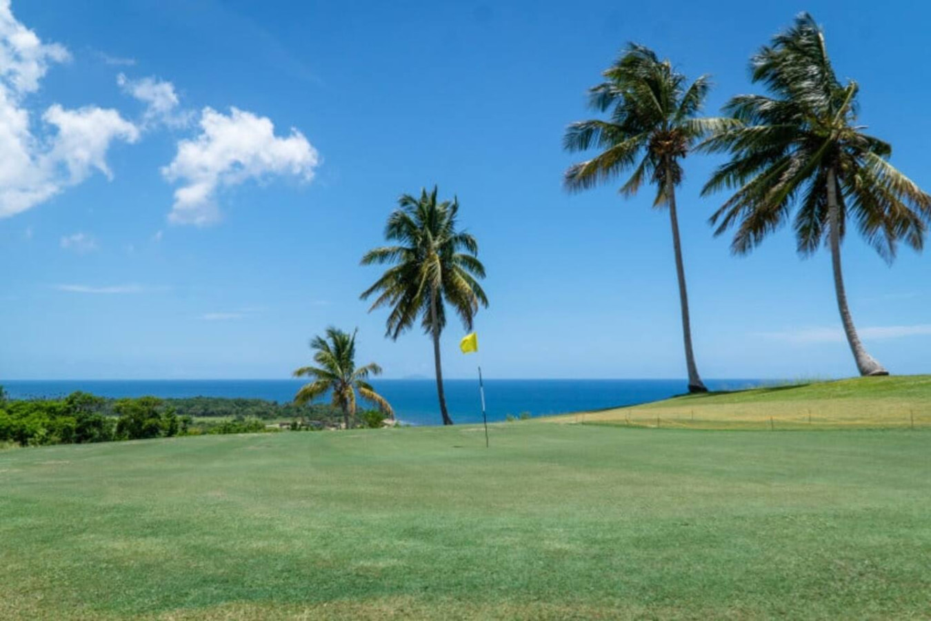 king-bed-or-beach-airport-and-golf-or-ramey-base-stay/