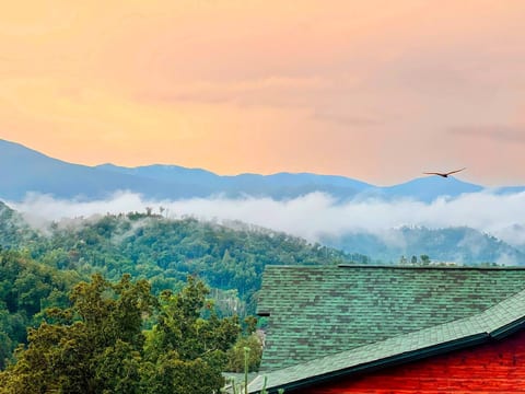 Enjoy long range views of majestic mountains (and Anakeesta - a local mountaintop adventure park) from your master suites. You'll be among the tree tops with the birds of prey.