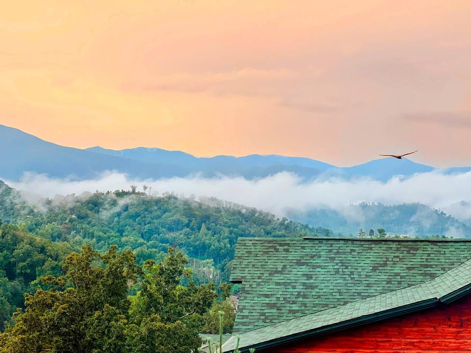 Enjoy long range views of majestic mountains (and Anakeesta - a local mountaintop adventure park) from your master suites. You'll be among the tree tops with the birds of prey.