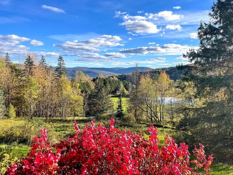 Another view from the deck. It is one of my favorite spots in the world!