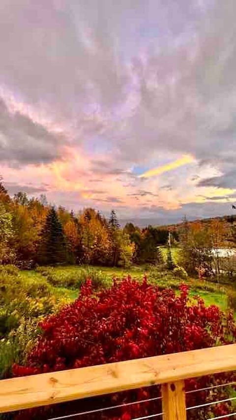 More beautiful fall views from the deck.