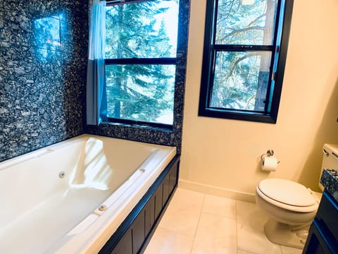 master bath tub and shower 
