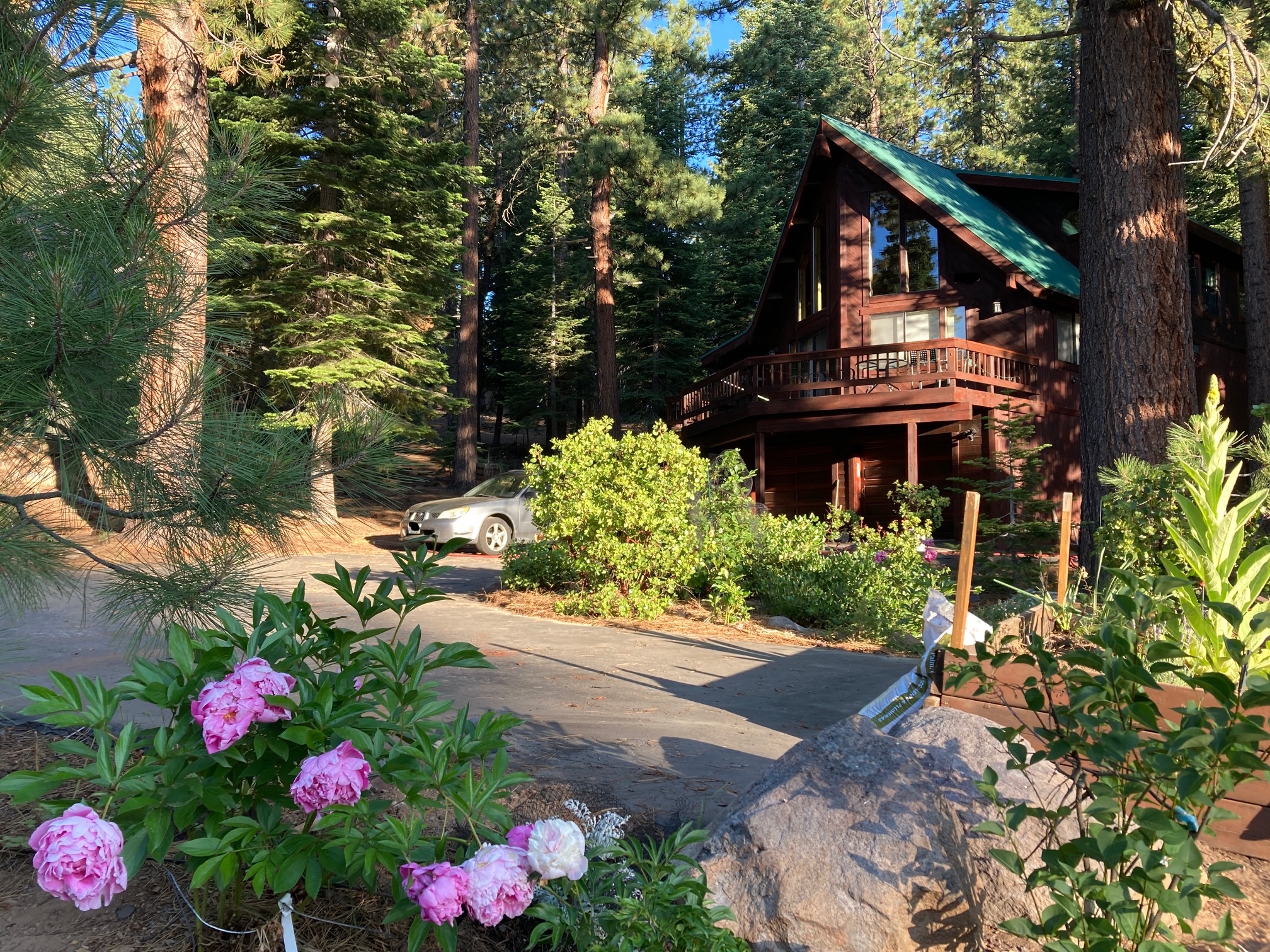 Treehouse Chalet 3BR/2BA KingBed Option 2Add Pet/Spa