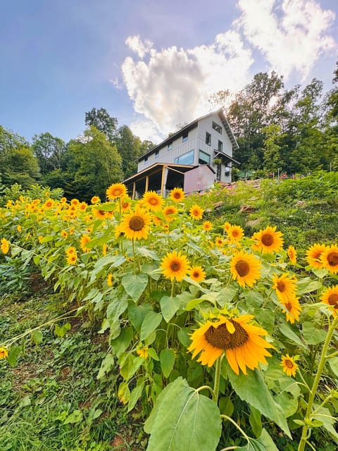 Mtn View Spa + IR/Steam Sauna + Hot-tub + Trails