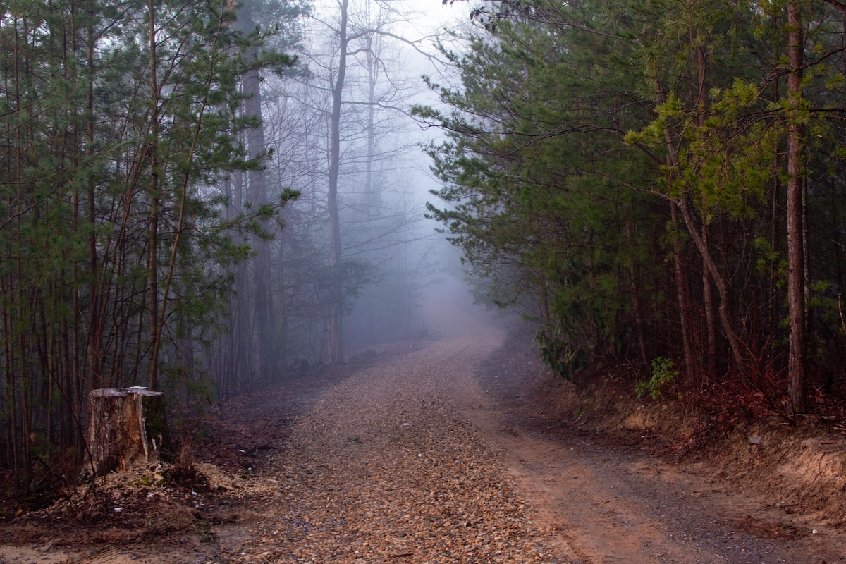 Contrast Cove Dome in Smoky Mountains image 20