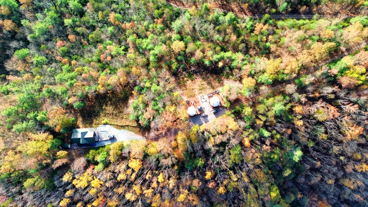 Contrast Cove Dome in Smoky Mountains image 10