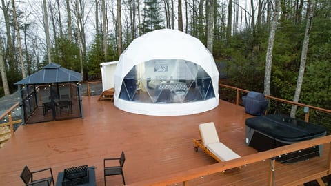 Contrast Cove Dome in Smoky Mountains image 1