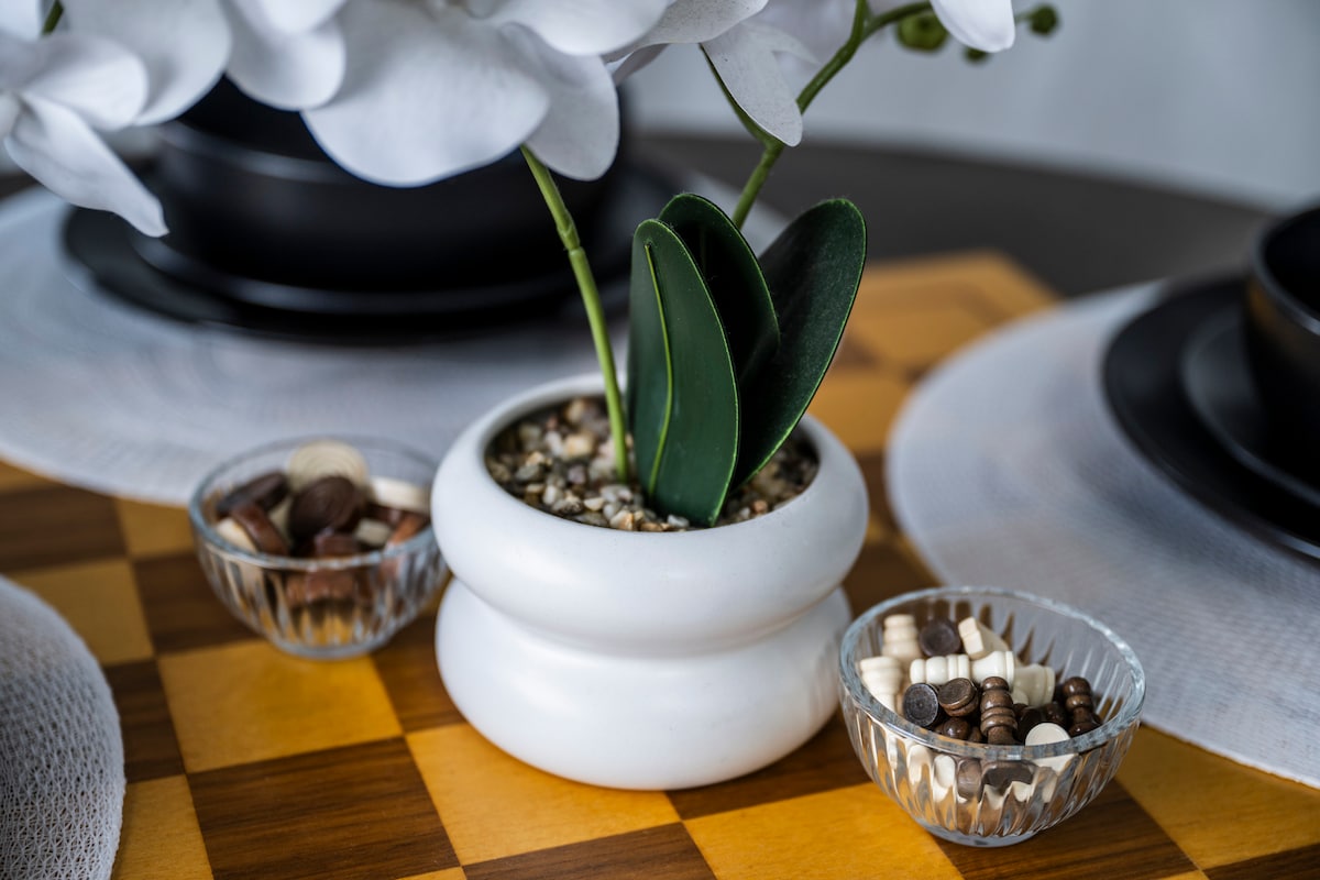 Contrast Cove Dome in Smoky Mountains image 22