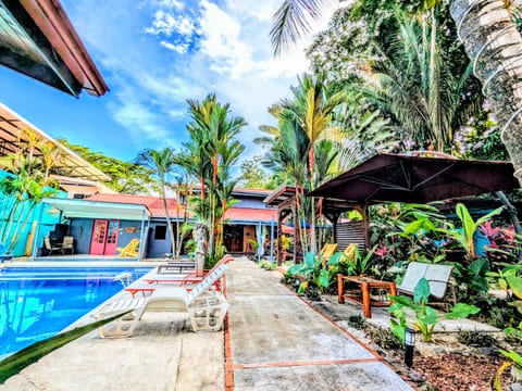 Welcome to Zenergy Casa & Cabinas