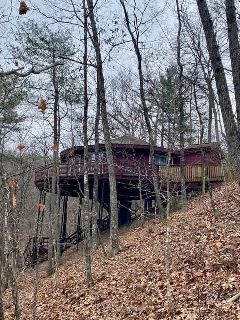 The Treehouse - Yurt in the Mountains image 2