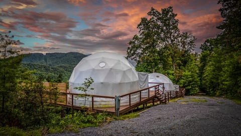 Forest Fairy Glamping in Smokies image 5