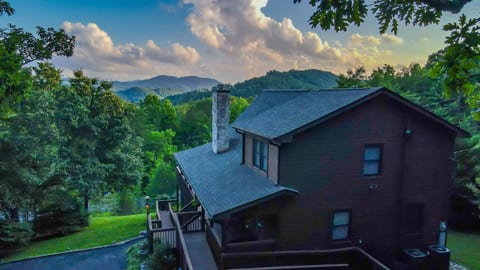 Cabin drone shot