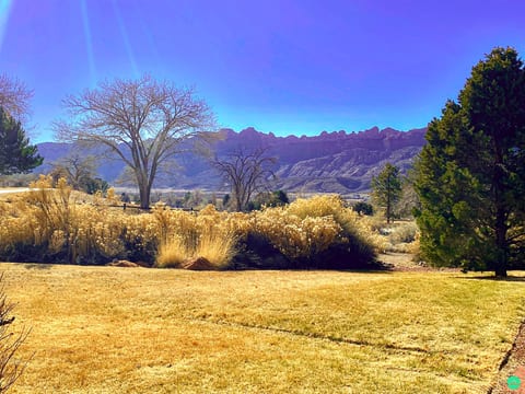 The Tumbleweed at Solano