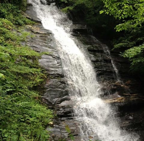 “The trail to the waterfall we did with my 3 year old son, a magical place” Mariana
“The family loved being able to go on a little adventure when hiking to the waterfall” Jonathan
“Hike to waterfall was 20 min and my 5 year old did fine” Nicole