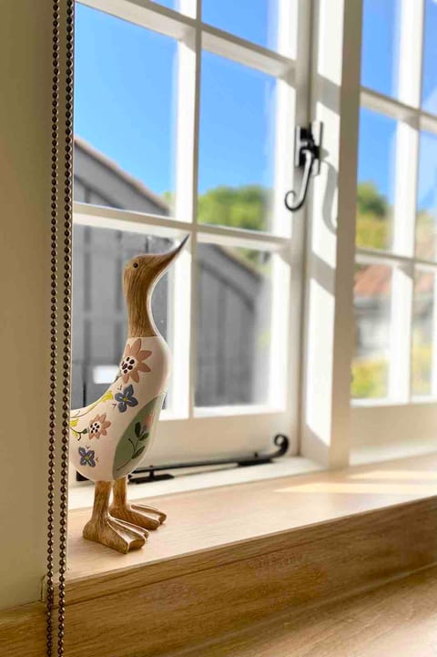 Daphne the duck