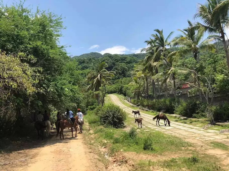 Try some horseback riding