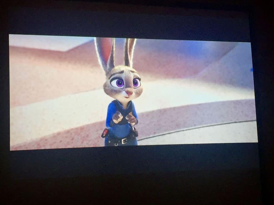 Projection Screen in the Theater Room