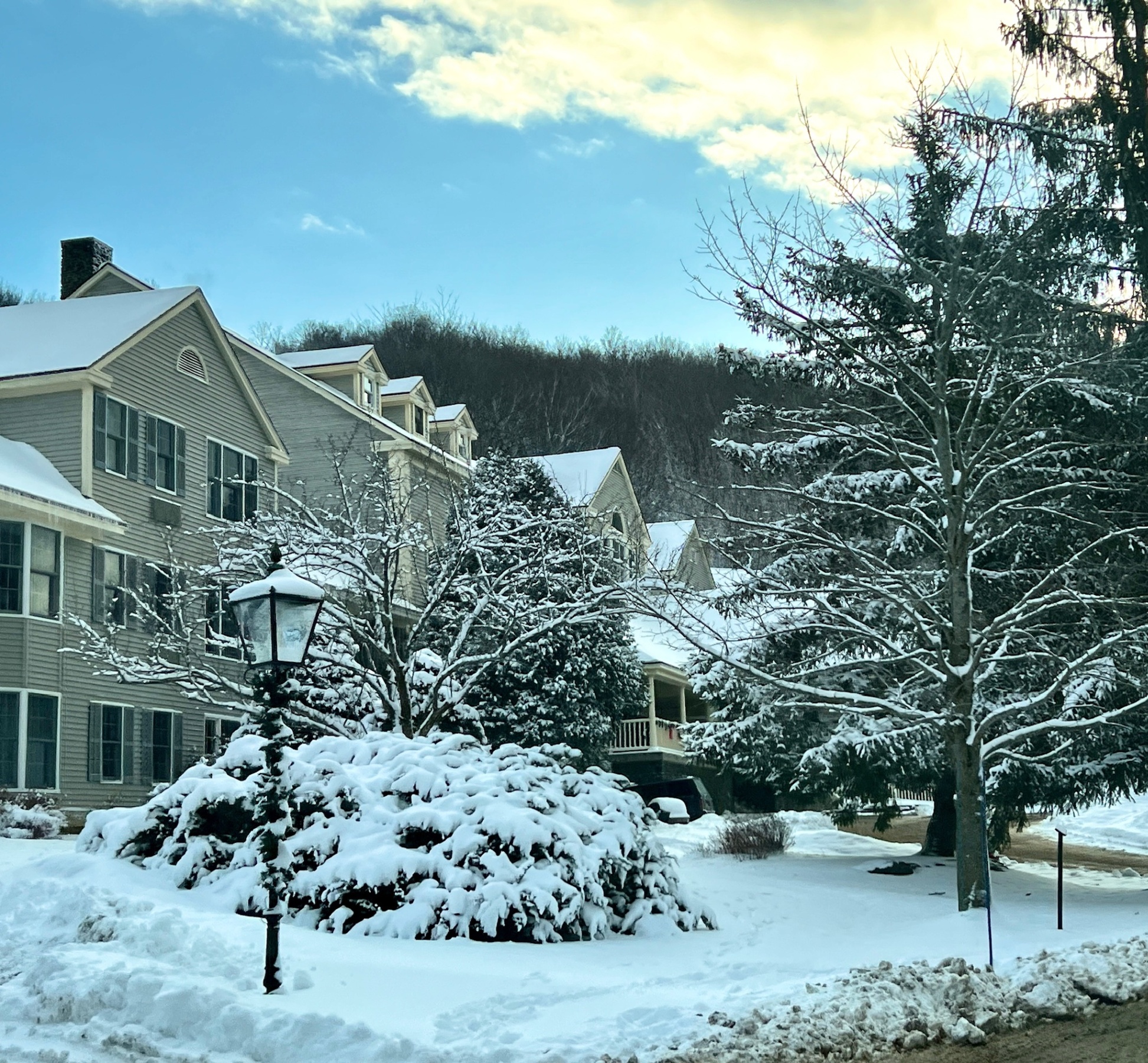 Wake up to a postcard scene: snow-dusted evergreens, quiet trails, and winter magic right outside your door.