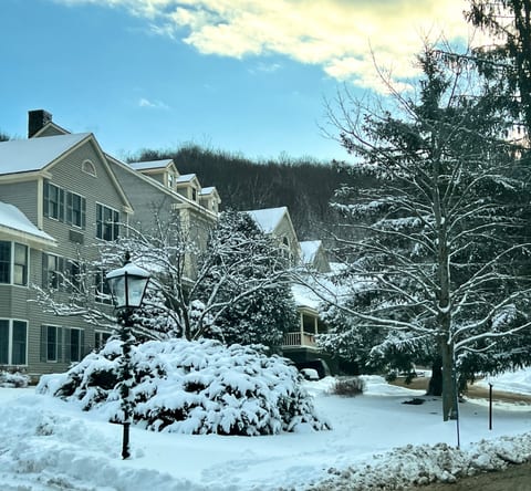 Wake up to a postcard scene: snow-dusted evergreens, quiet trails, and winter magic right outside your door.