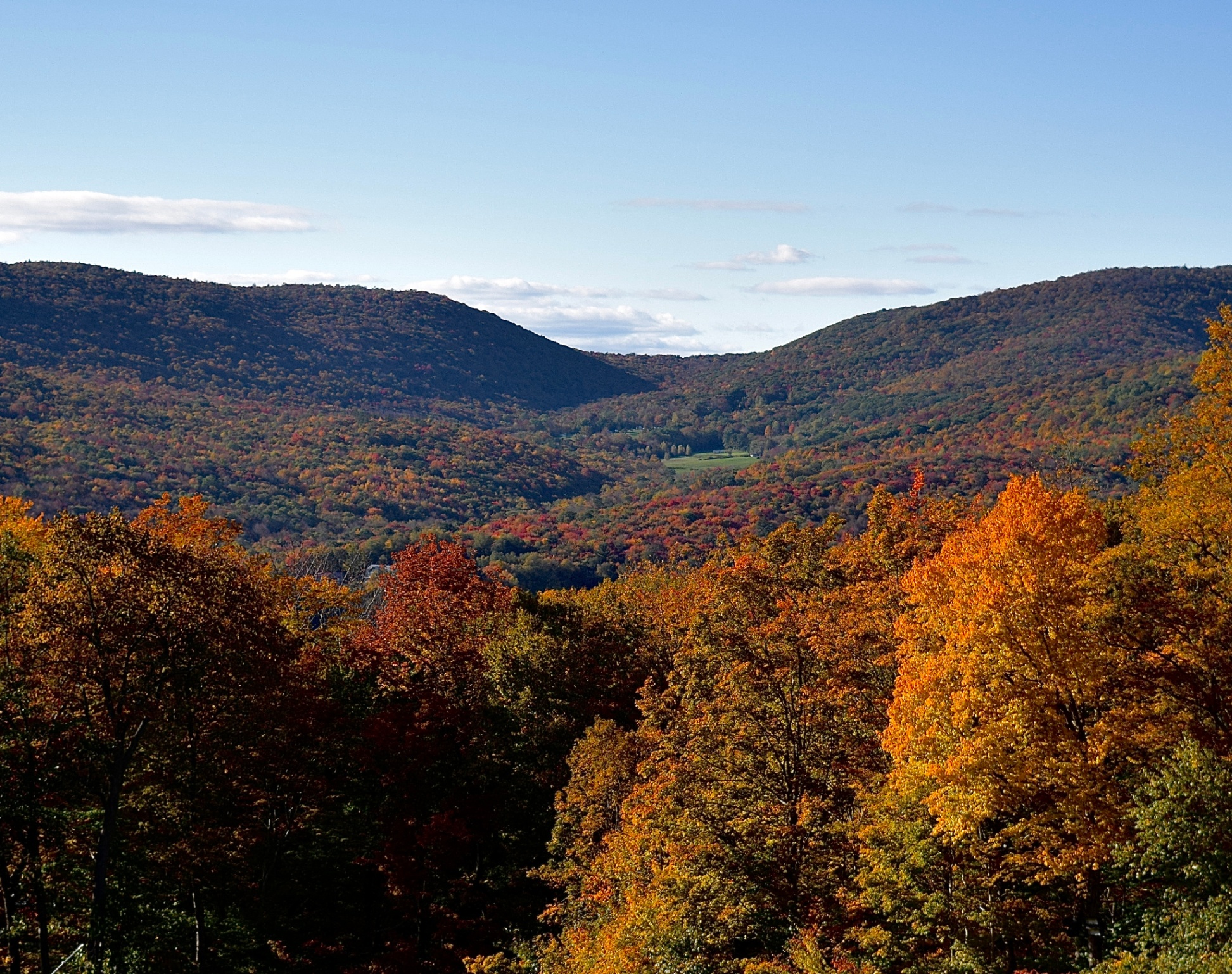 Stunning foliage views from the mountain's top