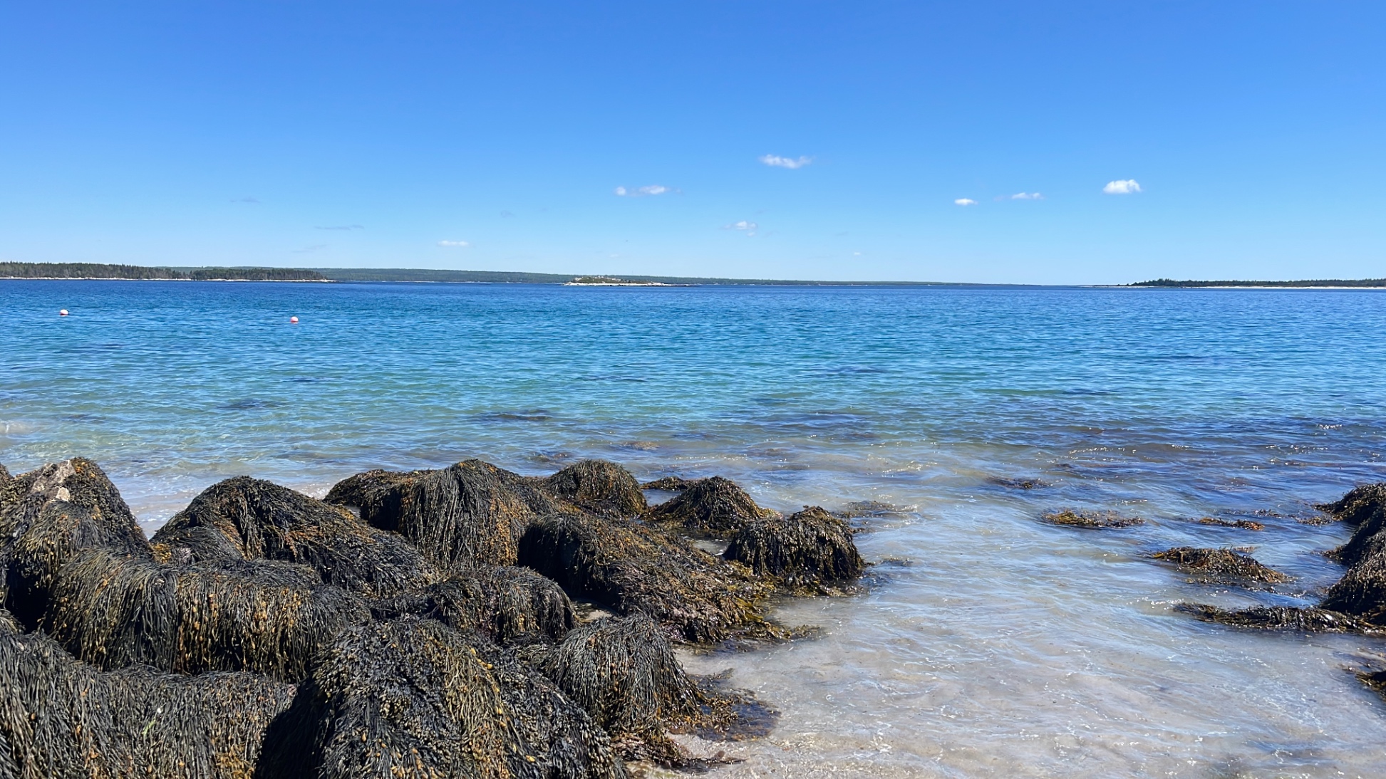 Access to the ocean directly from the property