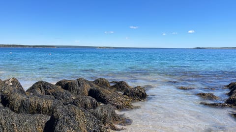 Access to the ocean directly from the property