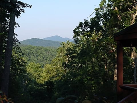 View from the side yard