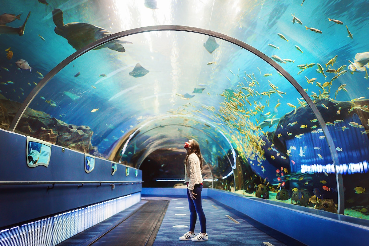 Georgia Aquarium is approximately 21 minutes away