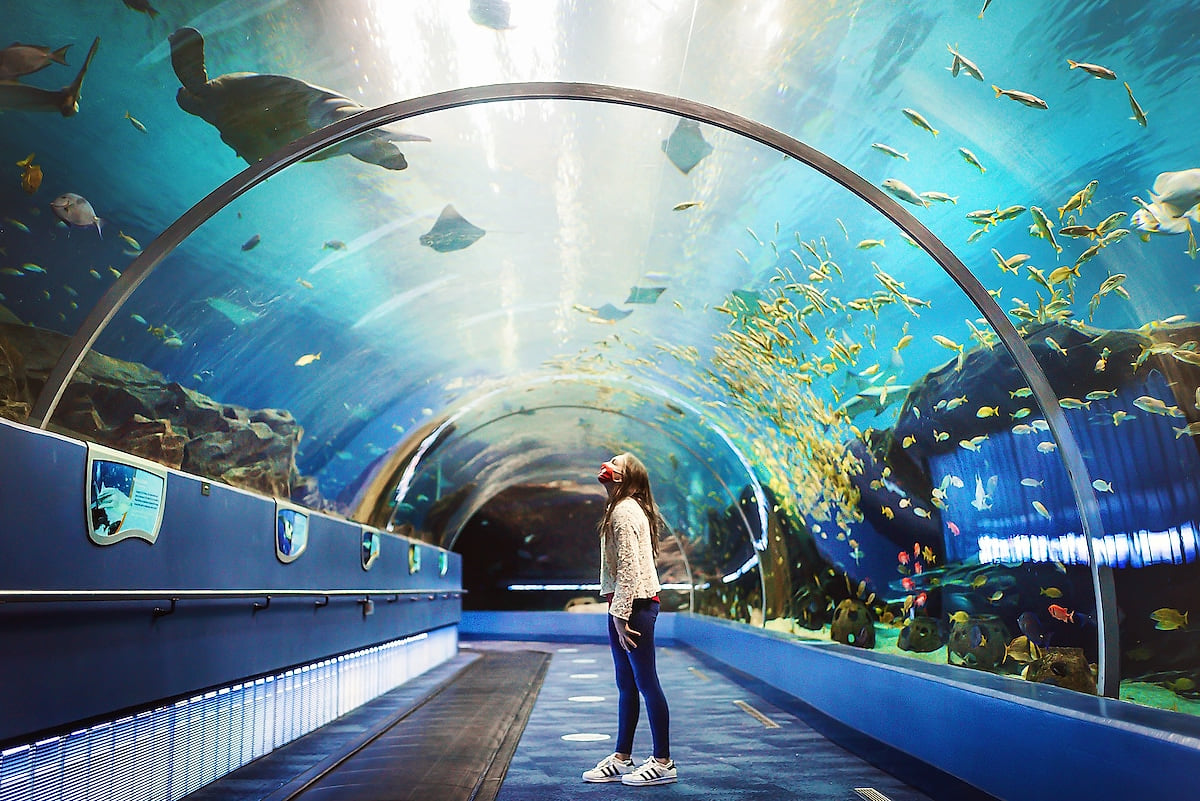 Georgia Aquarium is approximately 21 minutes away