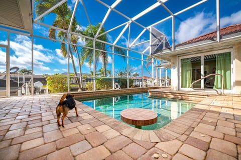 Pets welcome at Villa Hibiscus!