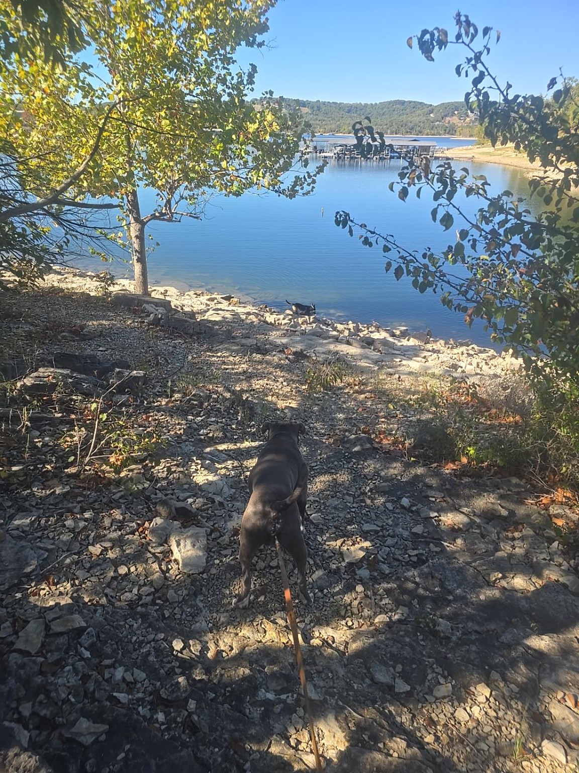 The GLO Getaway | Indian Point Vacation Rental