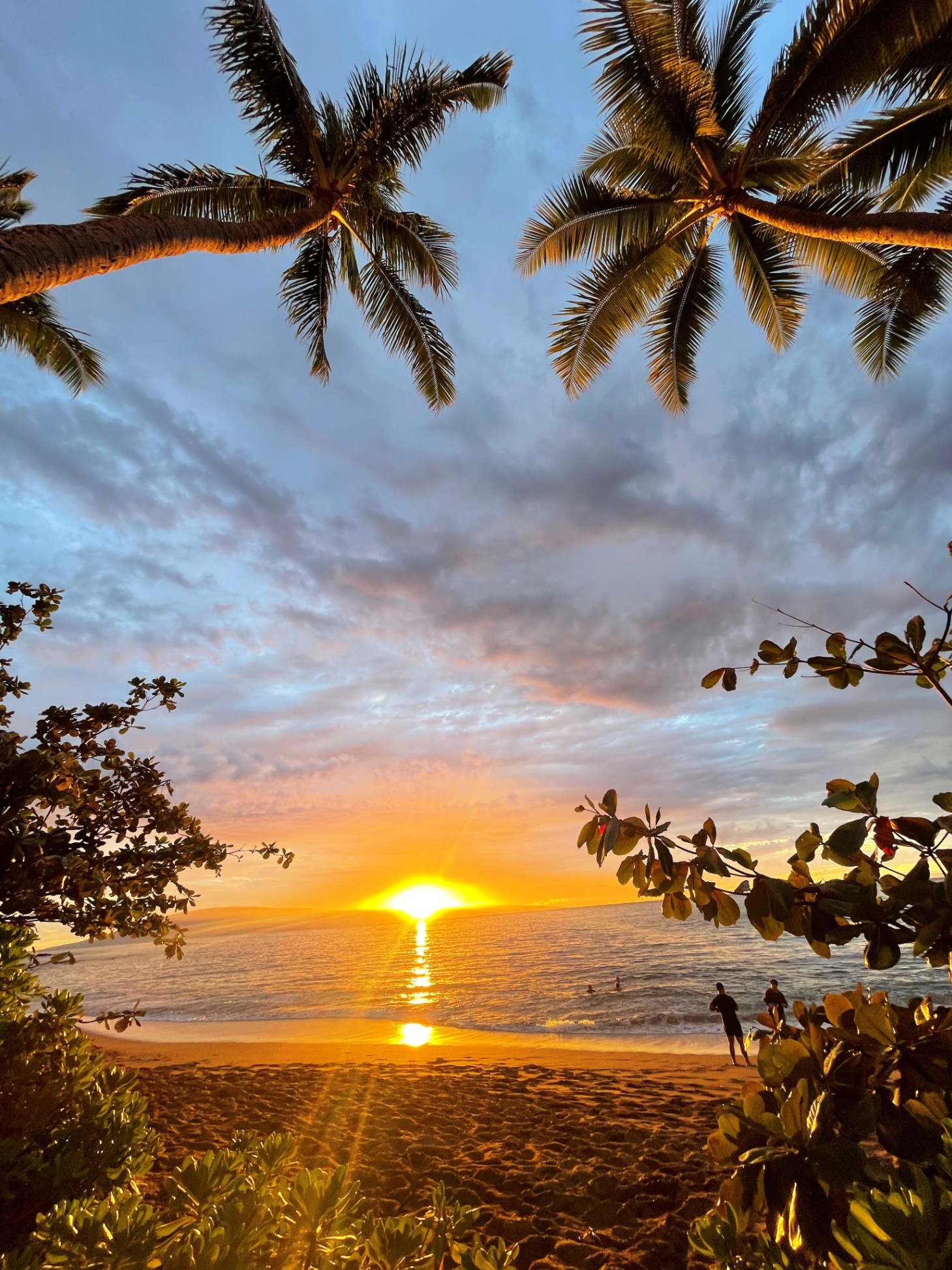 Walking distance to perfect sunsets, amazing eats, and Kahana's finest beaches.