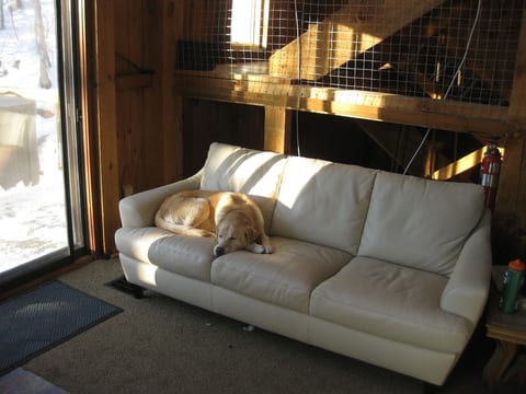 Leather sofa and love seat