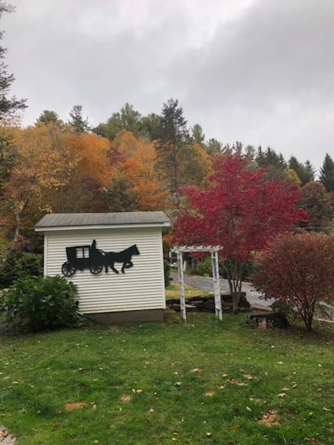 Great yard for kids and dogs