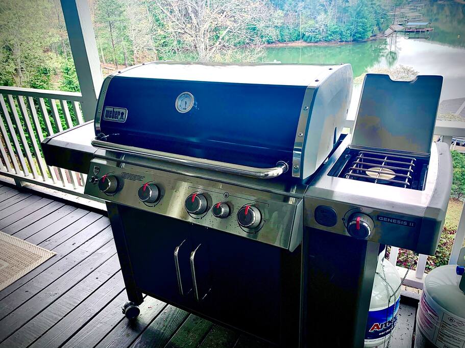 lake-nottely-with-kayaksfire-pitdockpool-table/