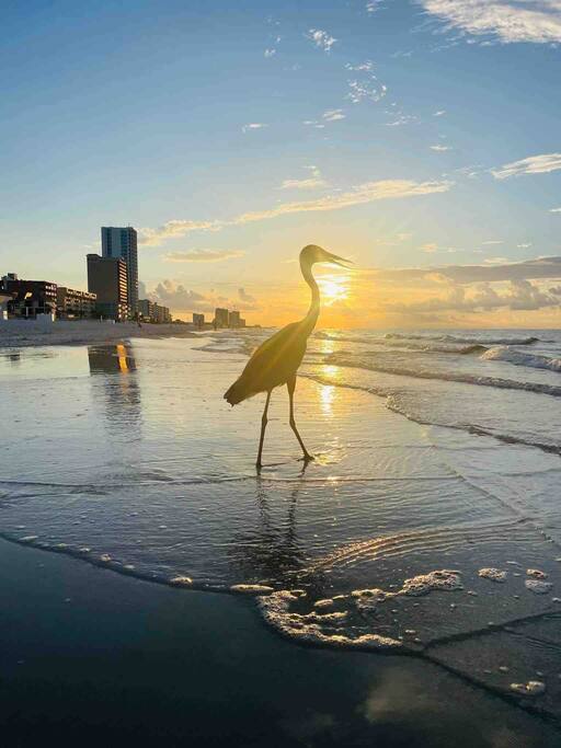 new-cottage!-100ft-to-beachheated-poolgas-grill/