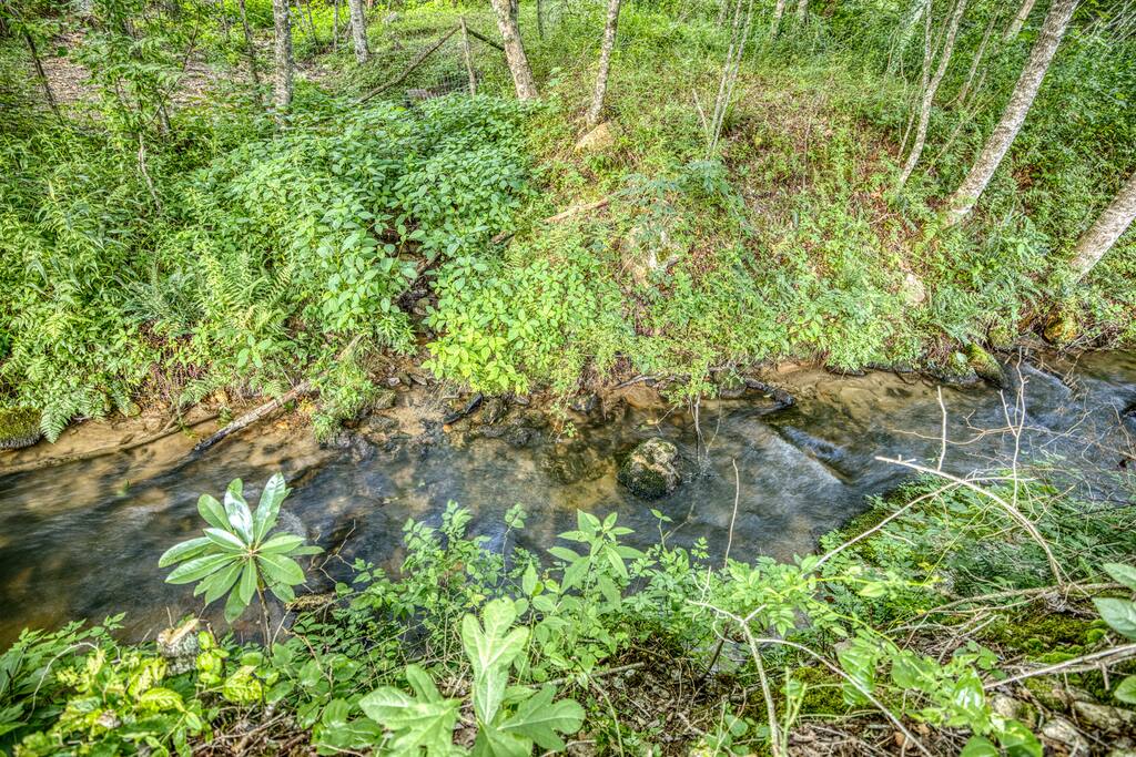 Where the grass ends buck Creek begins! The perfect little fishing hole with easy access from the grassy backyard 