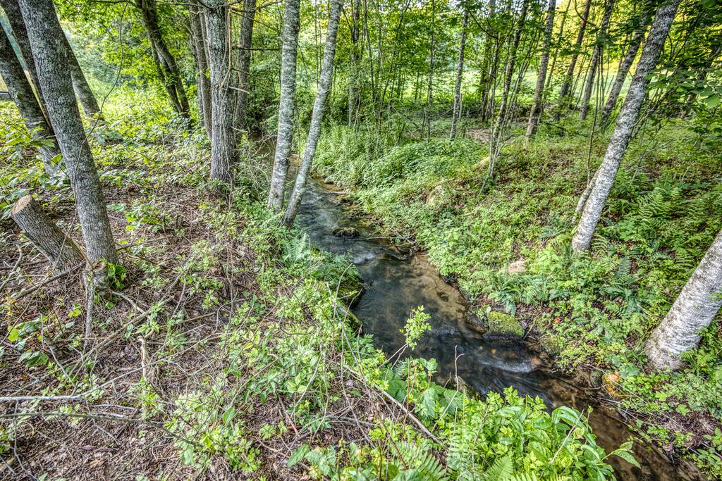 Buck creek is a terrific fishing spot directly in the back yard where the grass ends and your fishing pole finds the next catch 