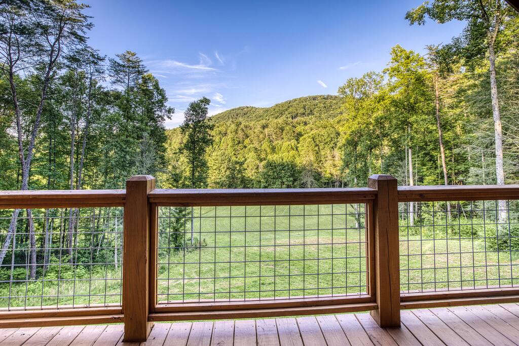 Views from the porch of mountains & grassy field leading to the creek. Behind this tree lined space is more grass and a private horse farm. Truly majestic space with big open sky perfect for viewing the stars  