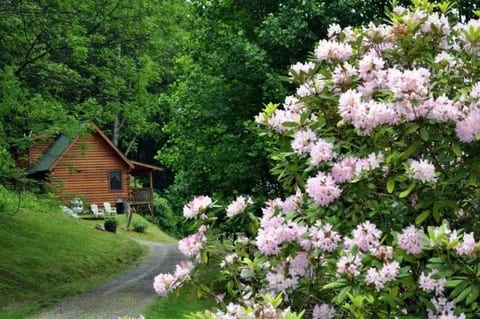Outside Cabin 4