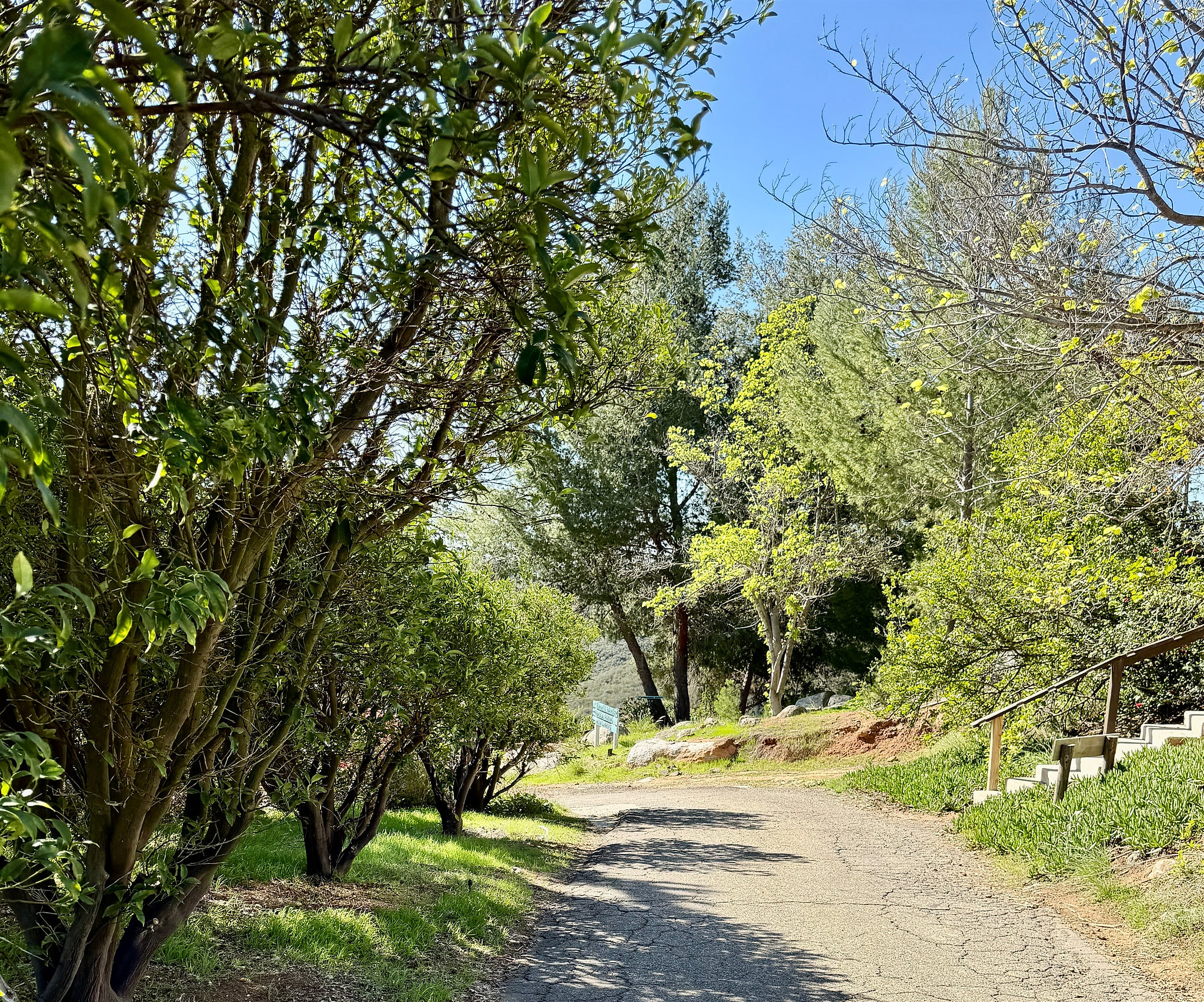 Mulberry Hill Farmstay Retreat