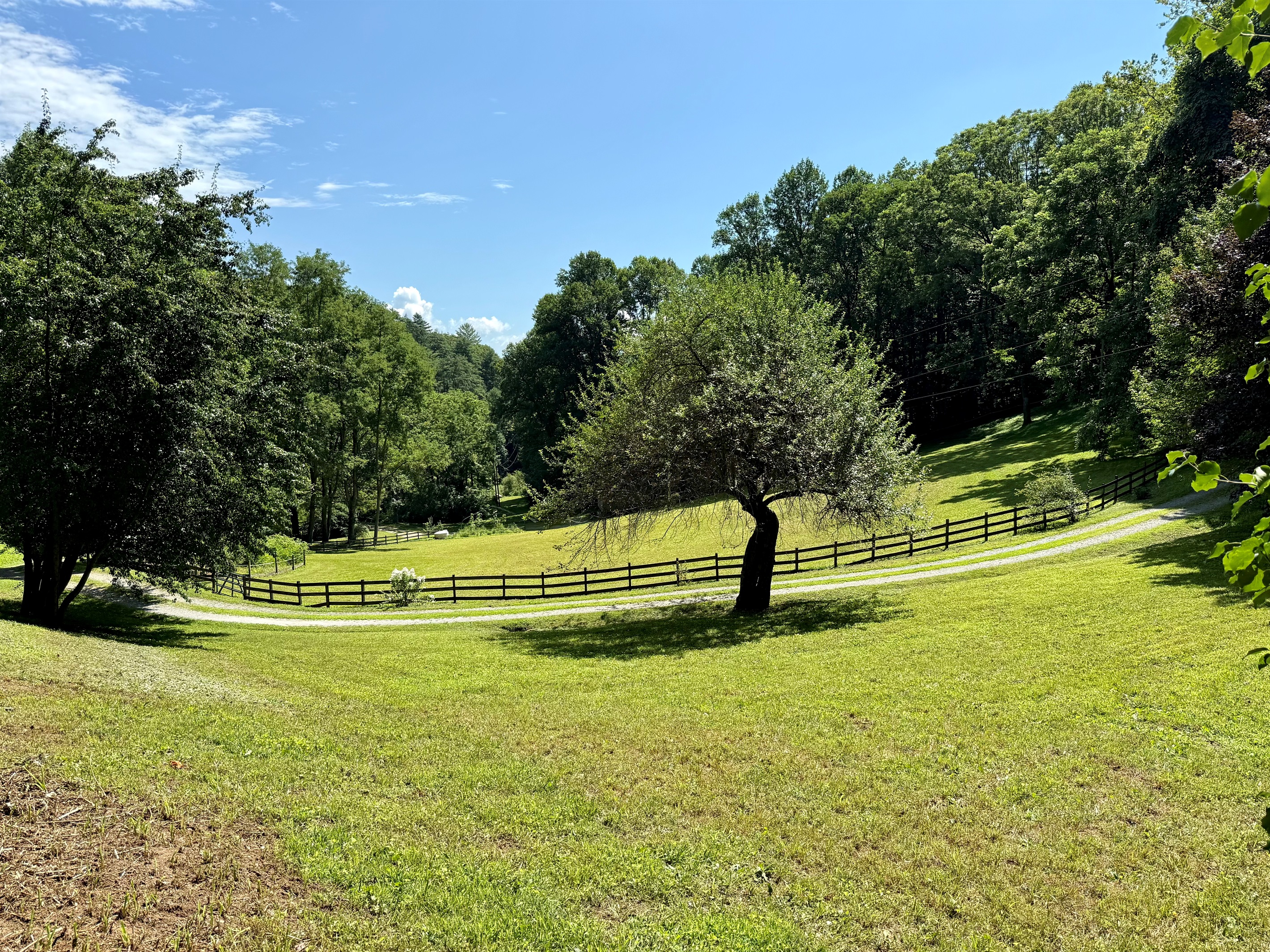 site-1-the-cove-at-dick-branch/