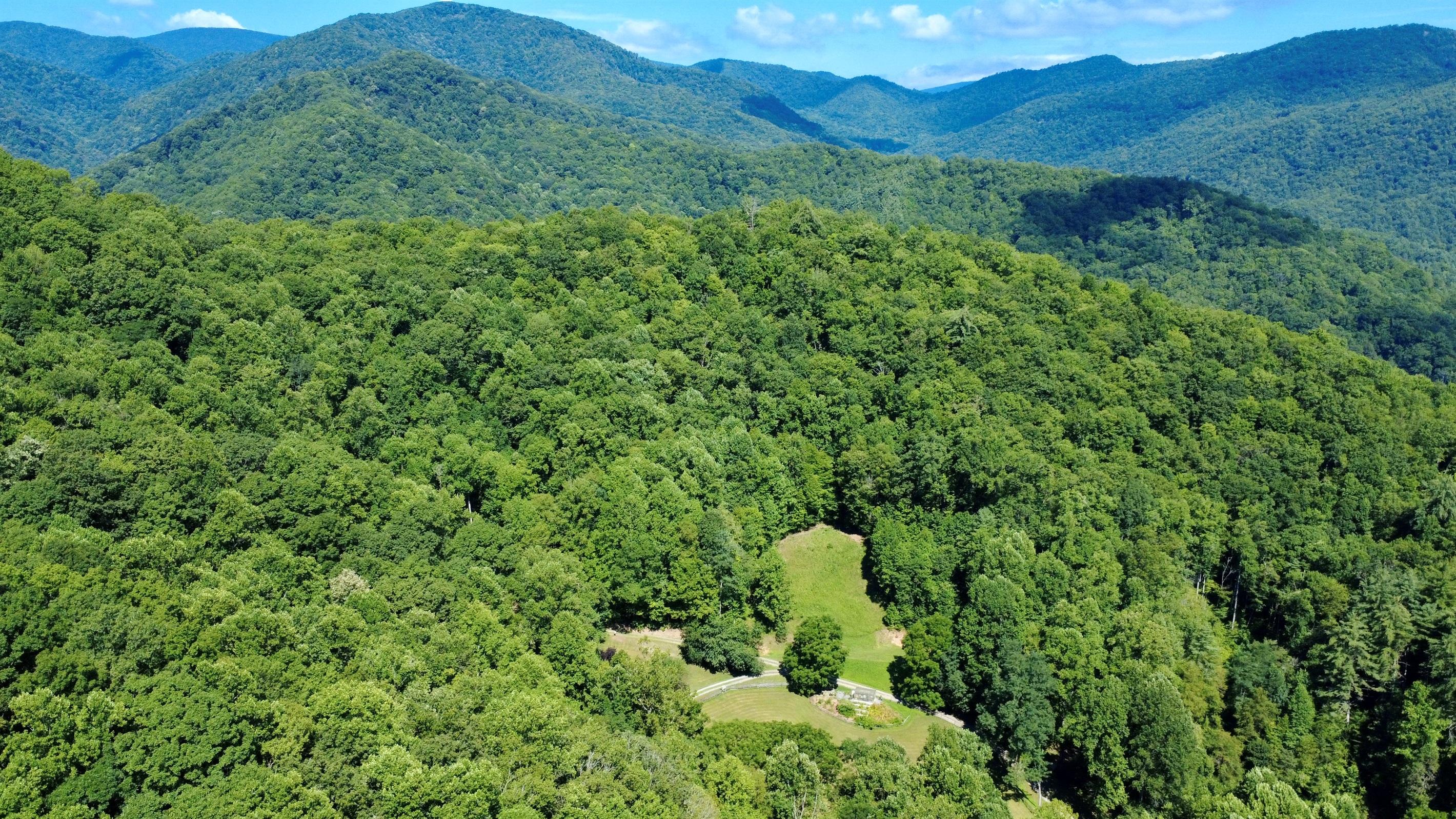 site-1-the-cove-at-dick-branch/