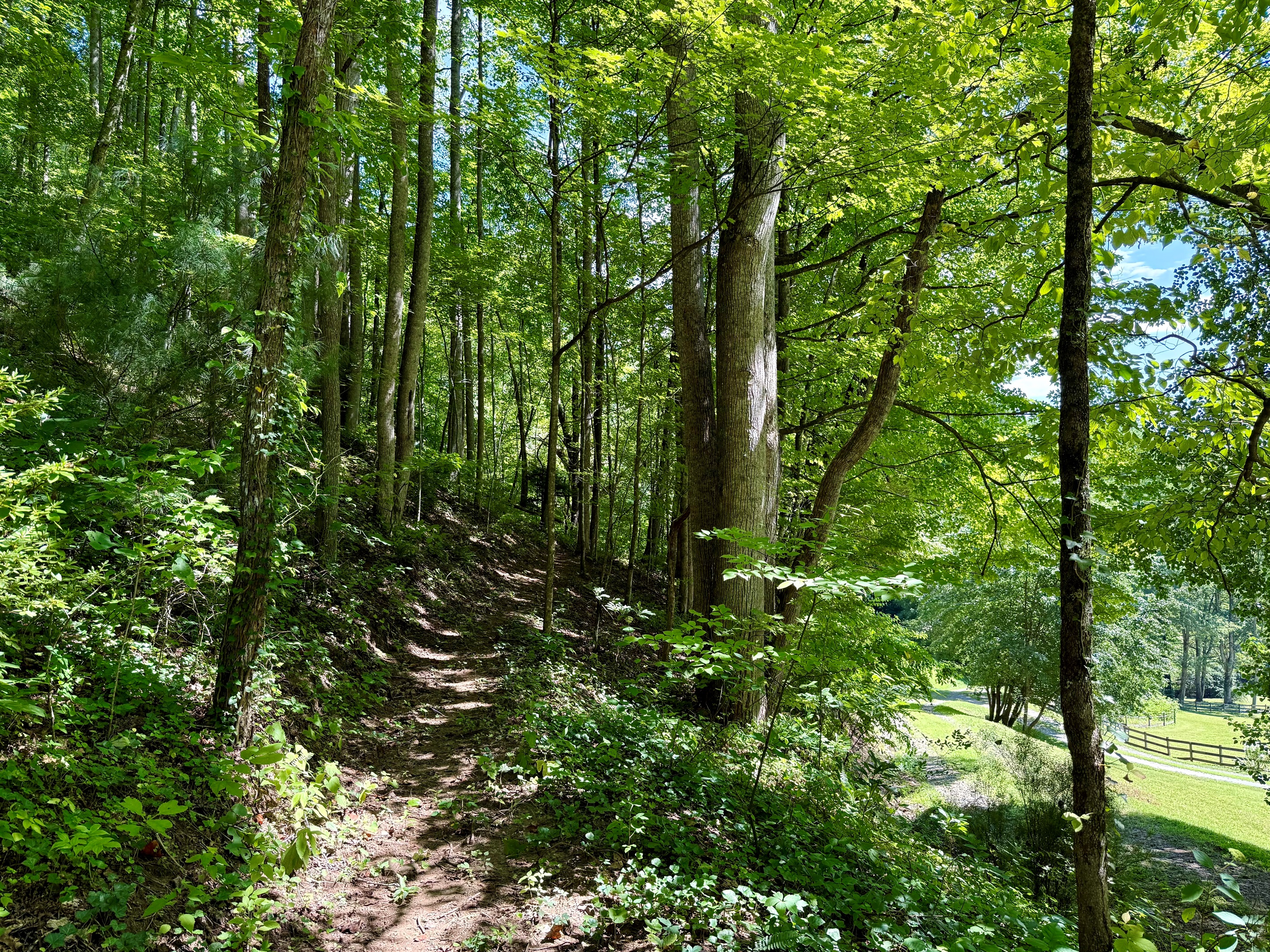 site-2-the-cove-at-dick-branch/