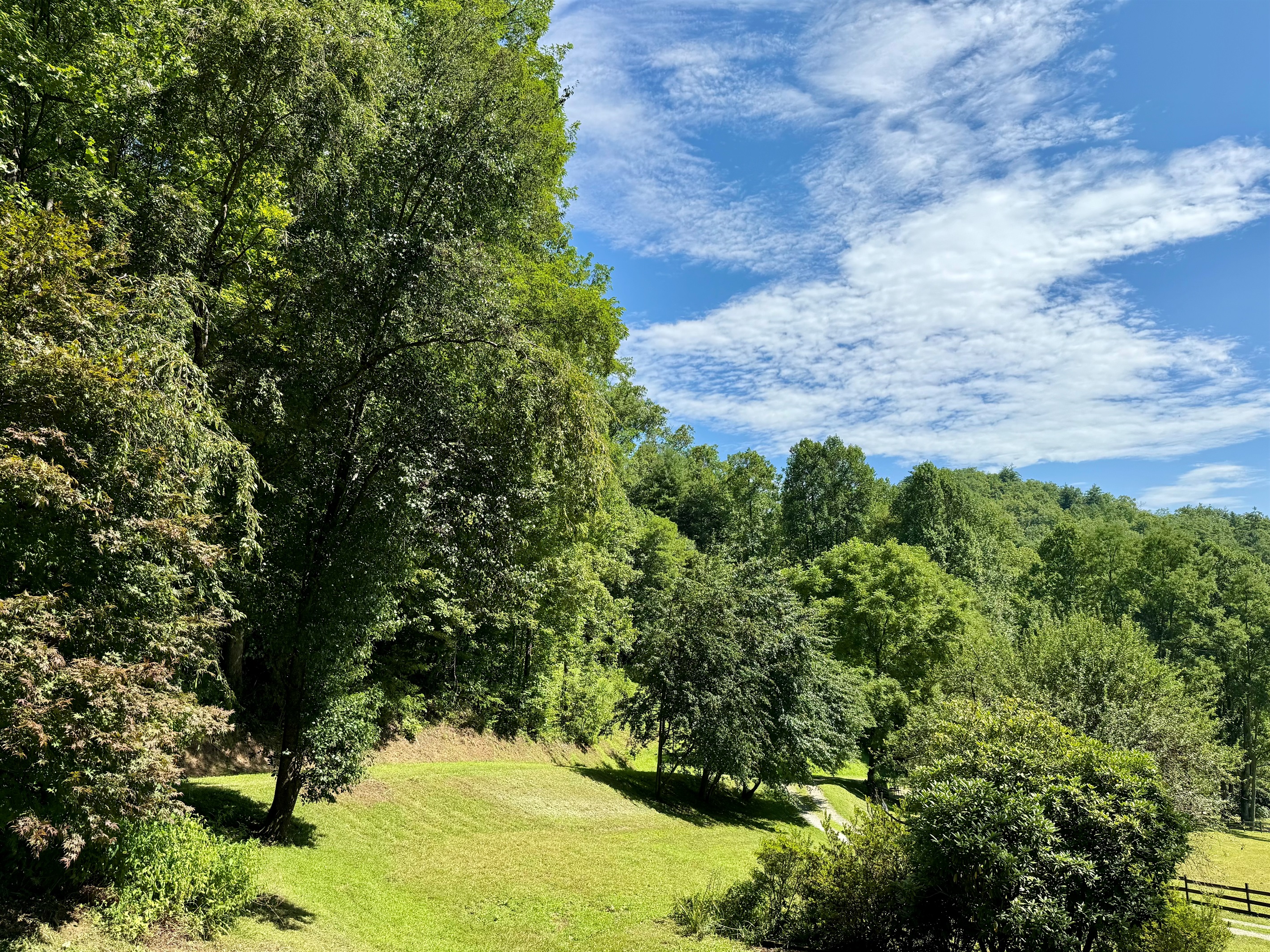 site-2-the-cove-at-dick-branch/