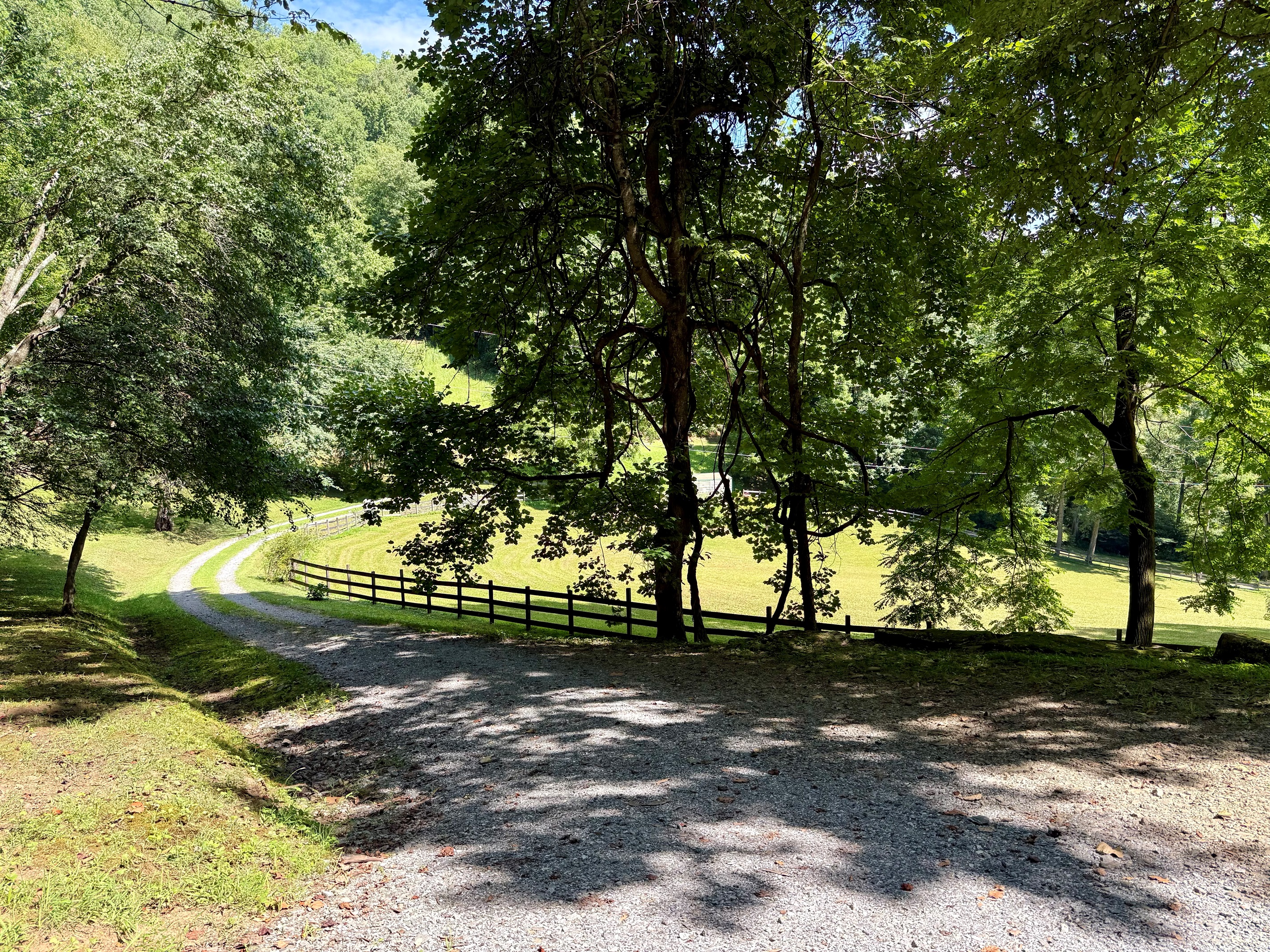 site-2-the-cove-at-dick-branch/