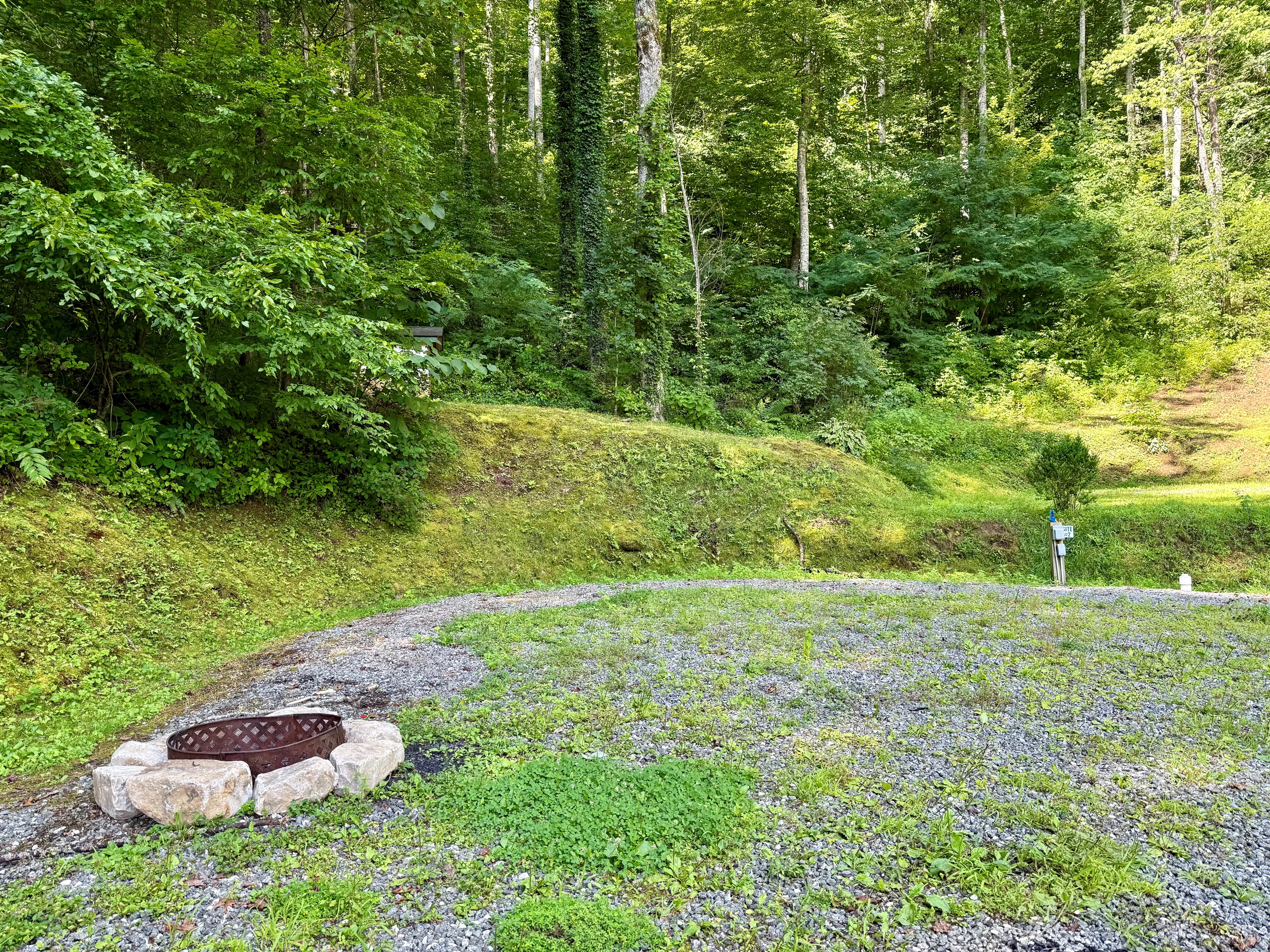 site-2-the-cove-at-dick-branch/