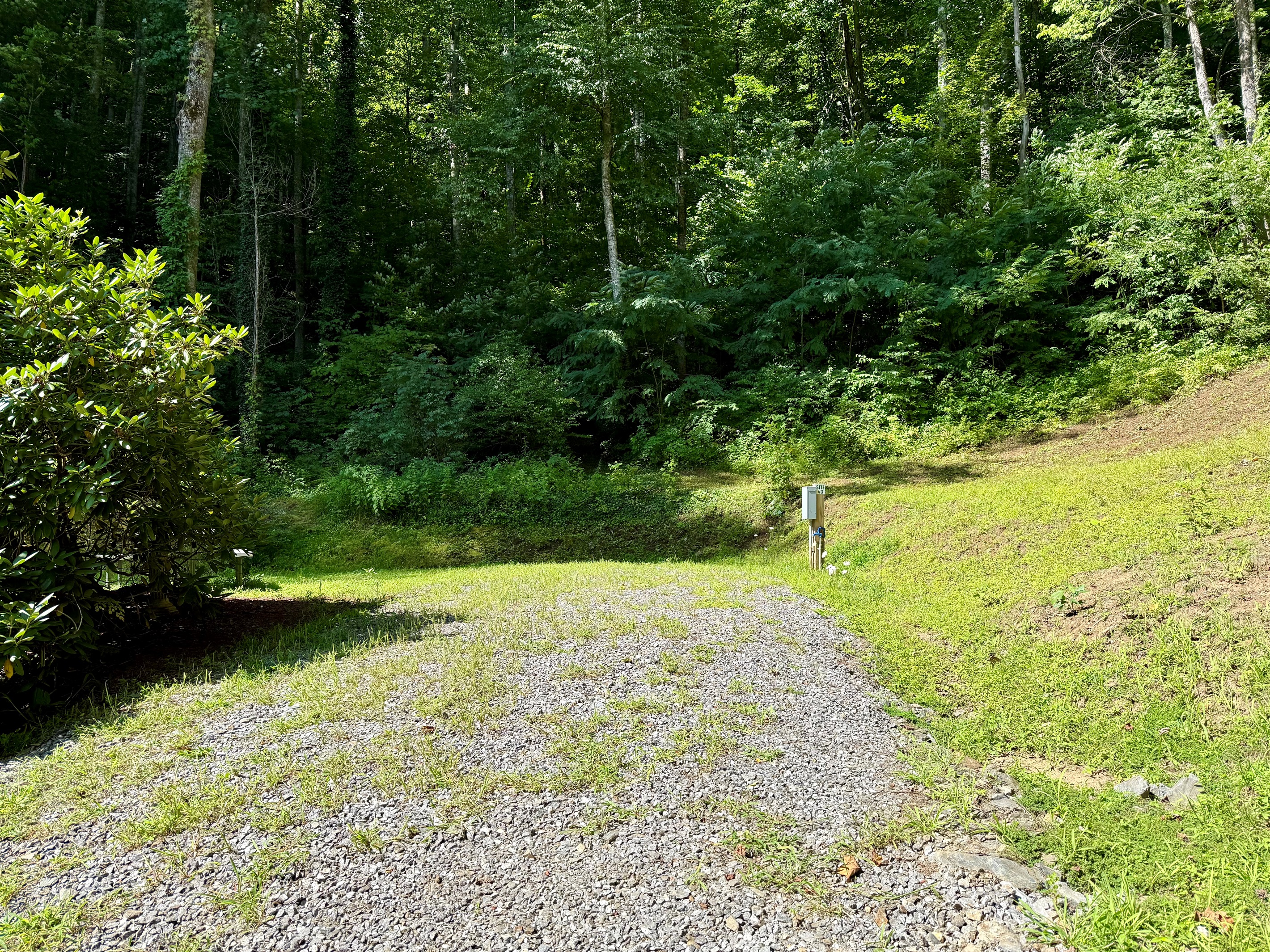 site-3-the-cove-at-dick-branch/